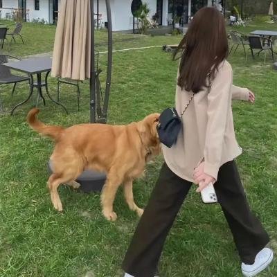 伪情半生